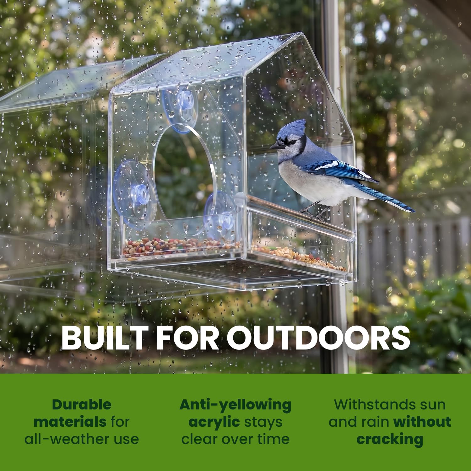 Nature Gear feeder mounted on home window creating cozy indoor birdwatching