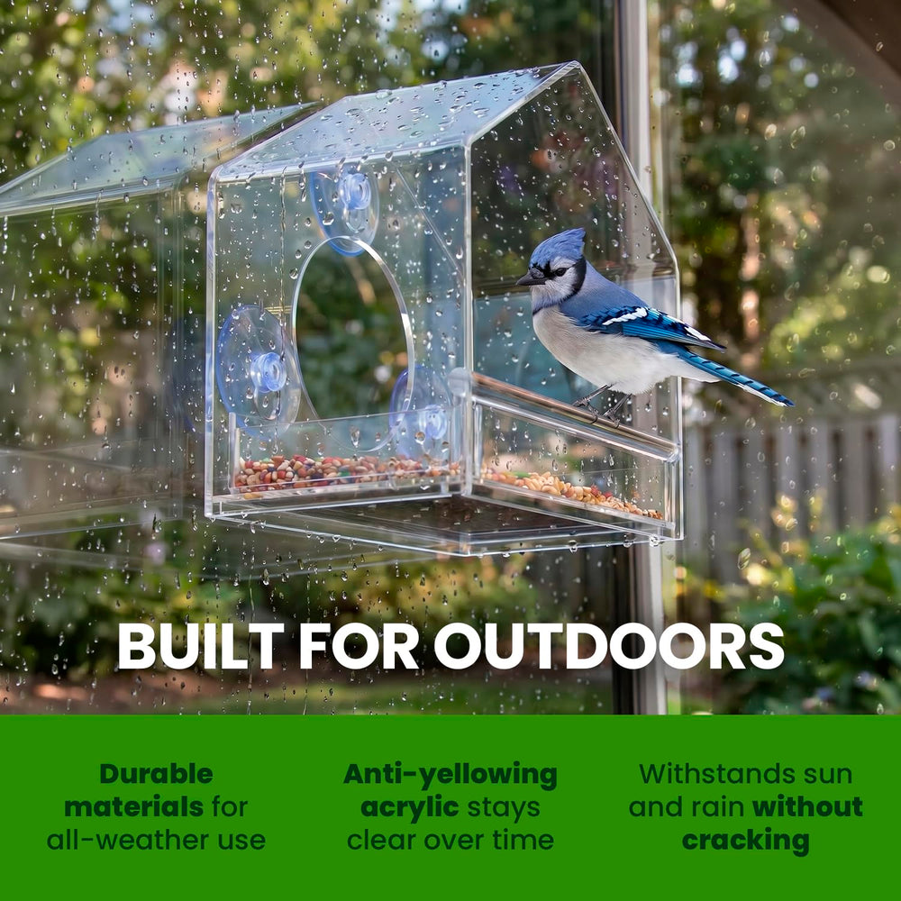 Nature Gear feeder mounted on home window creating cozy indoor birdwatching