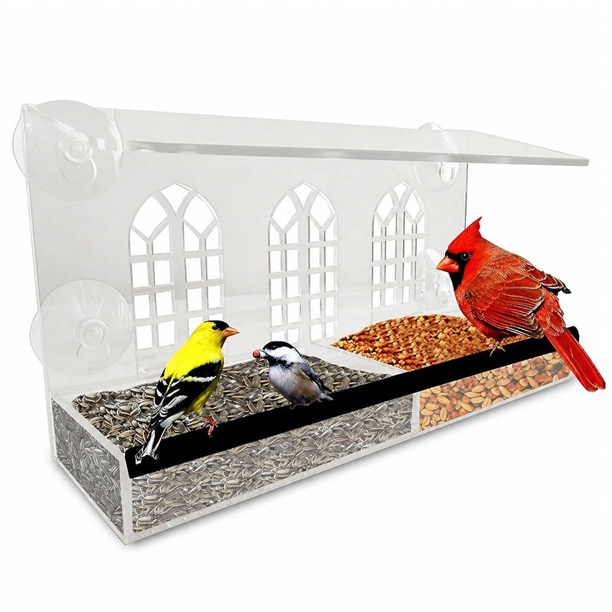 Nature Gear front view of clear window bird feeder showing full unit and benefits