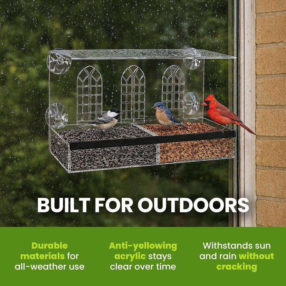 Nature Gear feeder mounted on kitchen window with person watching for immersive viewing benefit