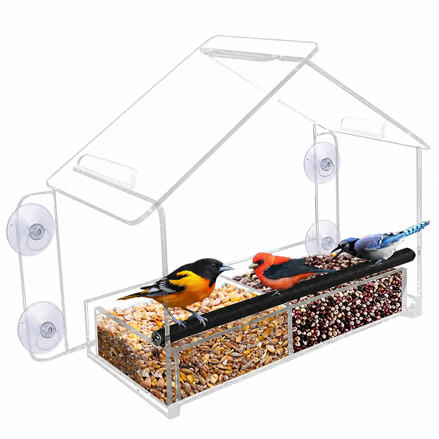 Nature Gear front view of feeder highlighting clear visibility and easy access