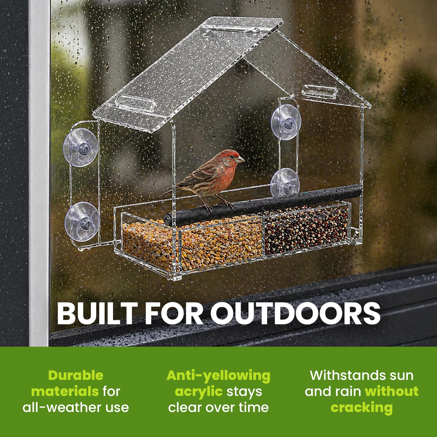 Nature Gear mounted on a living room window illustrating indoor birdwatching