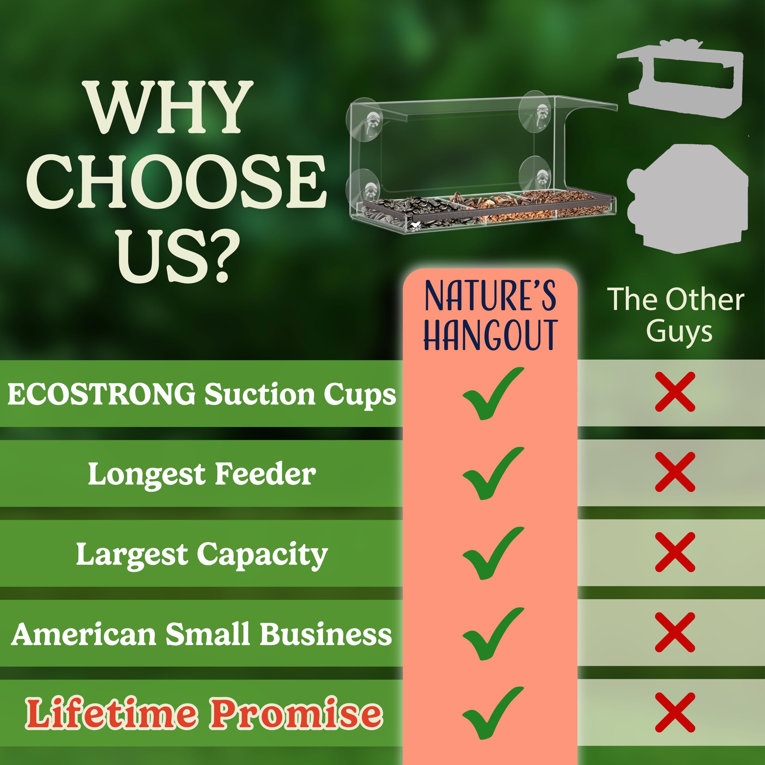 Nature's Hangout feeder mounted on glass showing window setup and up-close bird watching benefit