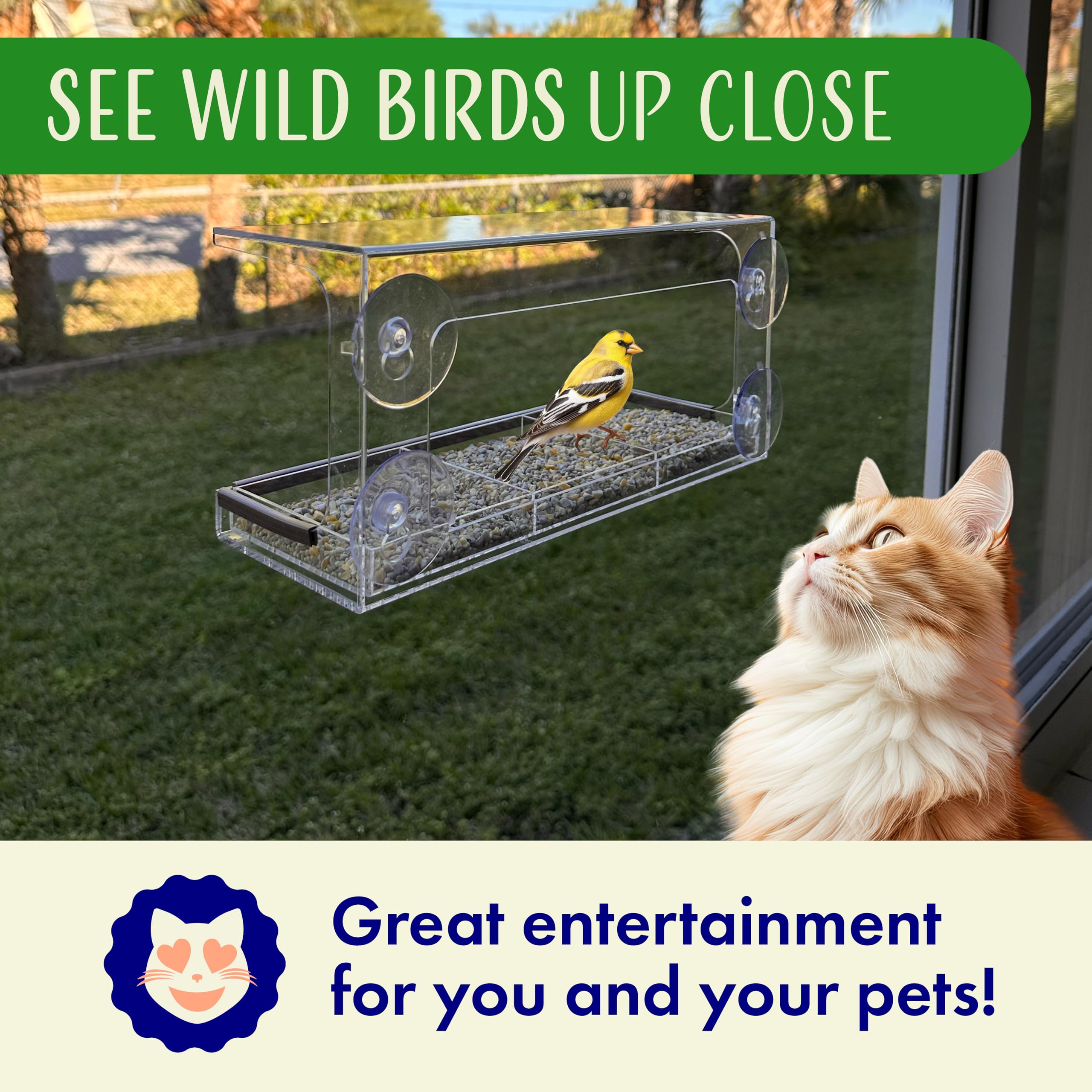 Nature's Hangout feeder next to hand for size comparison showing compact profile and easy handling