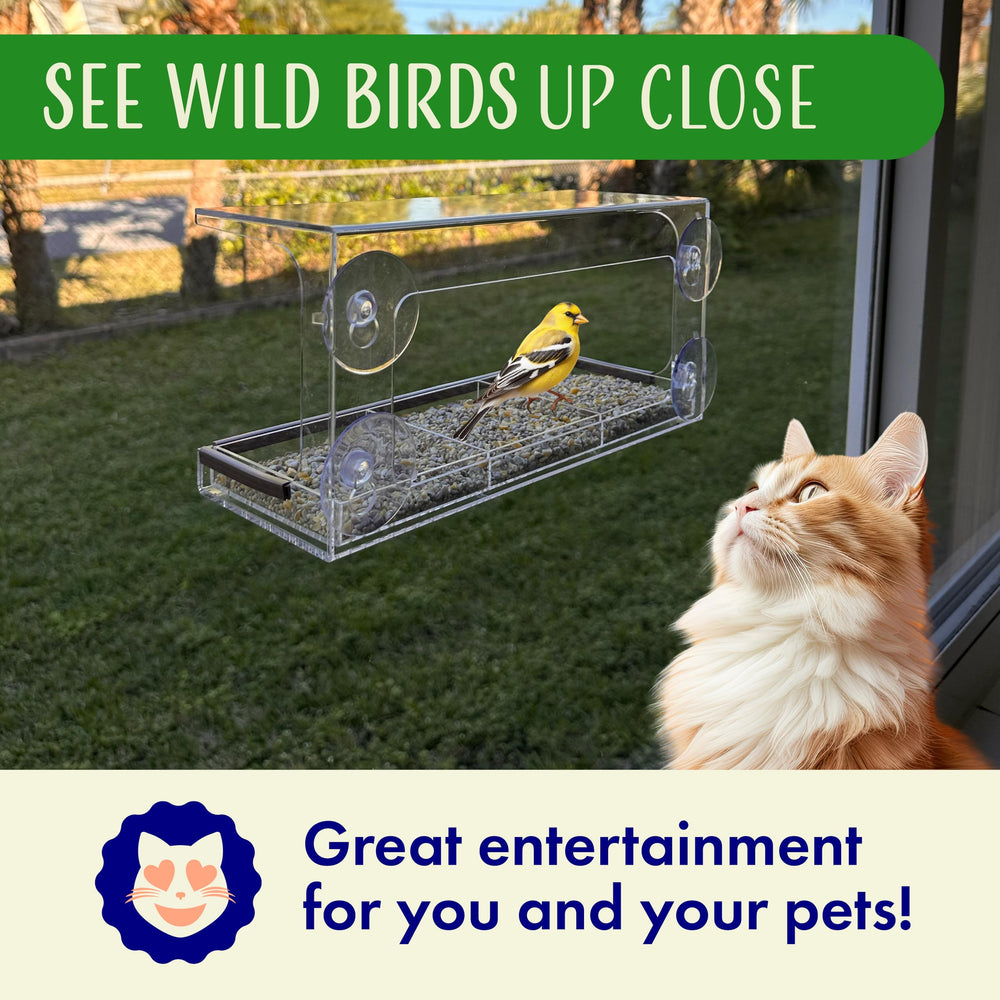 Nature's Hangout feeder next to hand for size comparison showing compact profile and easy handling