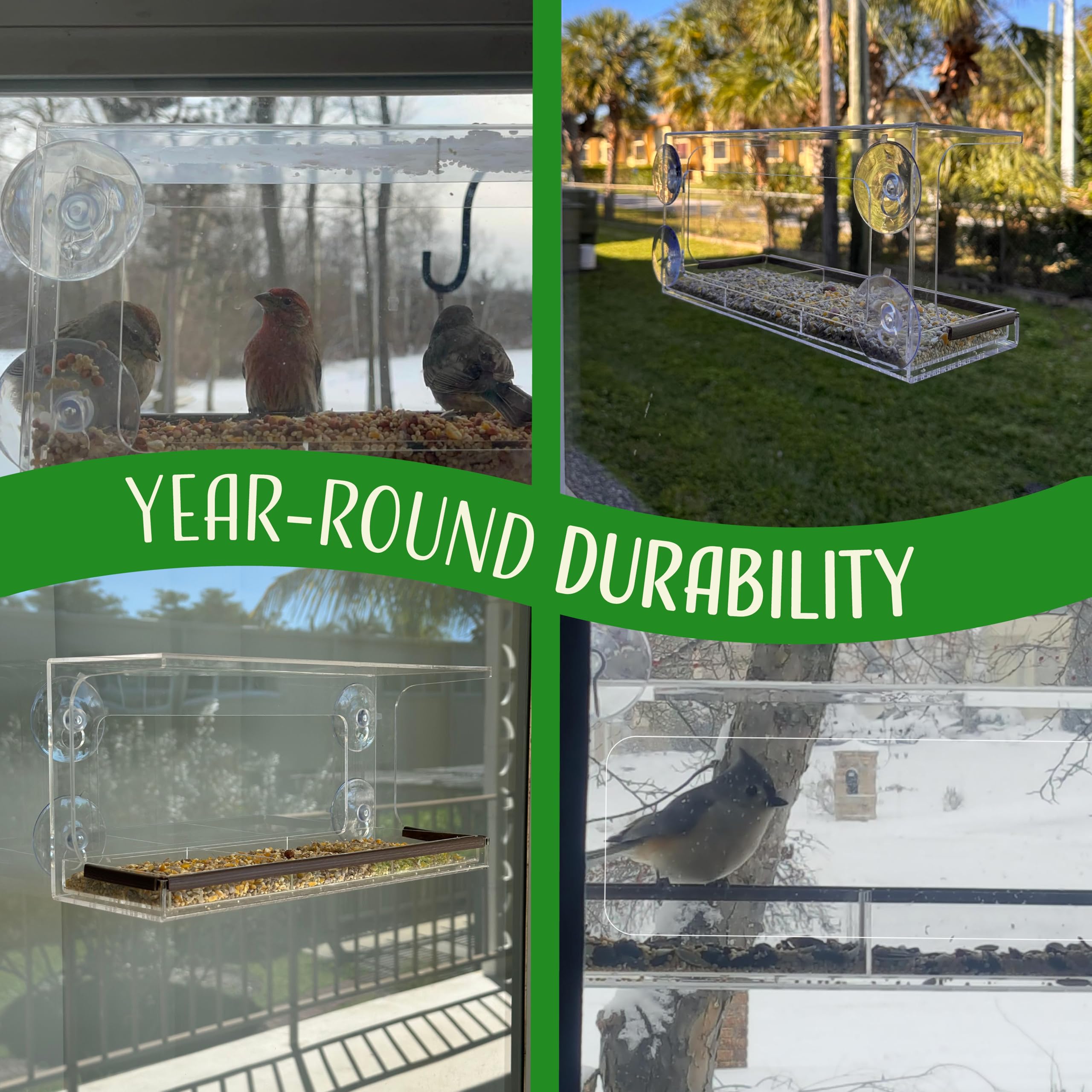 Nature's Hangout squirrel-resistant setup demonstrating placement keeps squirrels away from seed