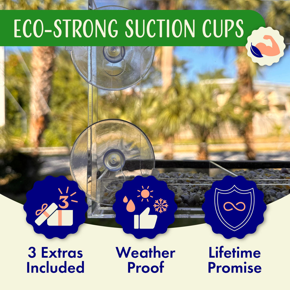 Nature's Hangout close-up of six suction cups highlighting secure weatherproof mounting for reliable hold