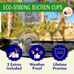 Nature's Hangout close-up of six suction cups highlighting secure weatherproof mounting for reliable hold