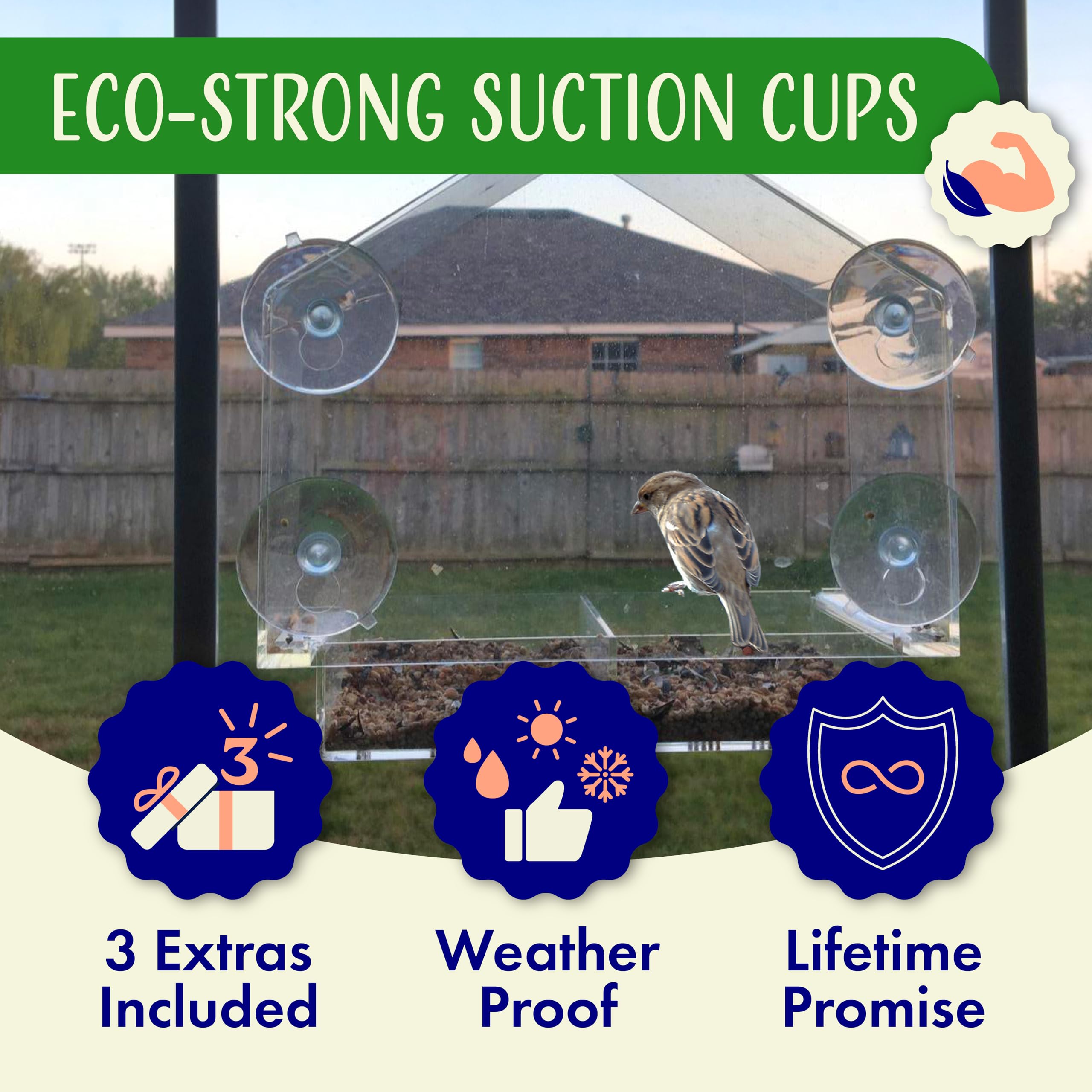 Nature's Hangout tray drainage holes detail keeping seed dry benefit