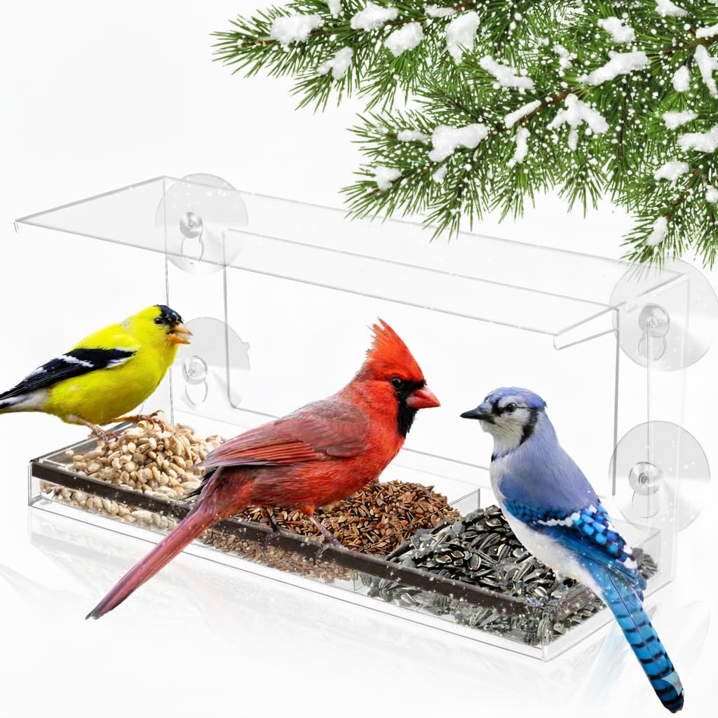 Nature's Hangout front view of window bird feeder showing compact long-style design and clear window benefit