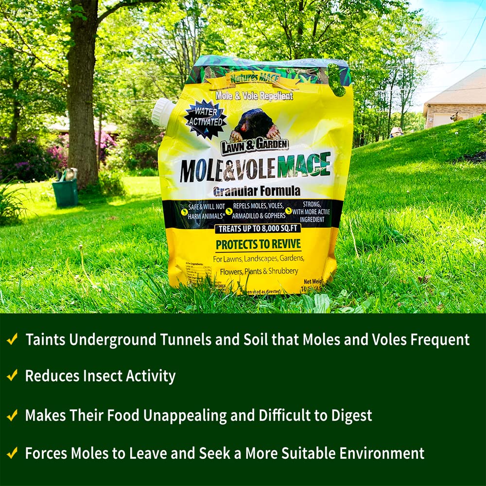 Nature's MACE label close-up showing active ingredients and directions