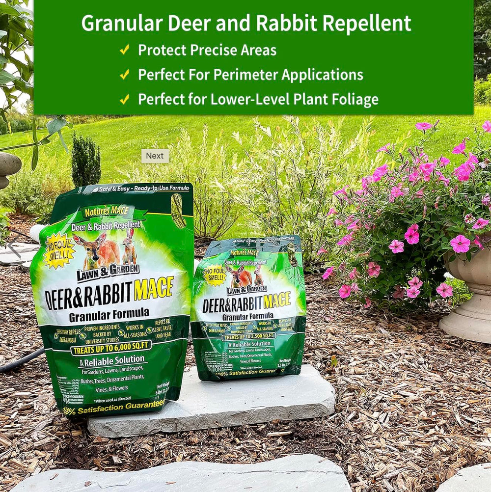 Nature's MACE granules placed under plant base protecting seedlings