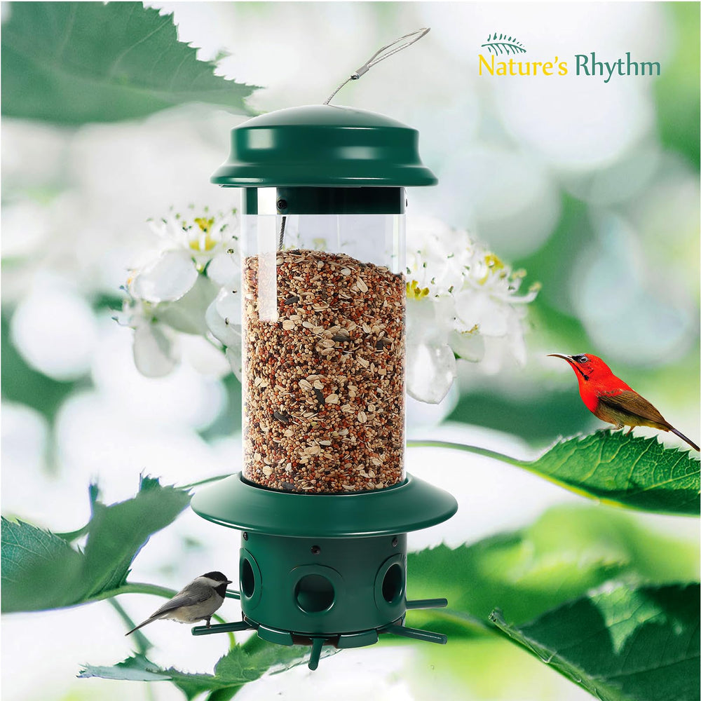 Nature's Rhythm feeder hung in backyard attracting wild birds and boosting garden visits