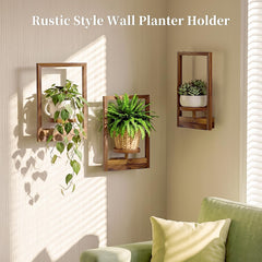 NATURE'S SOURCE detailed frame hanger close-up showing secure wall-mount benefit