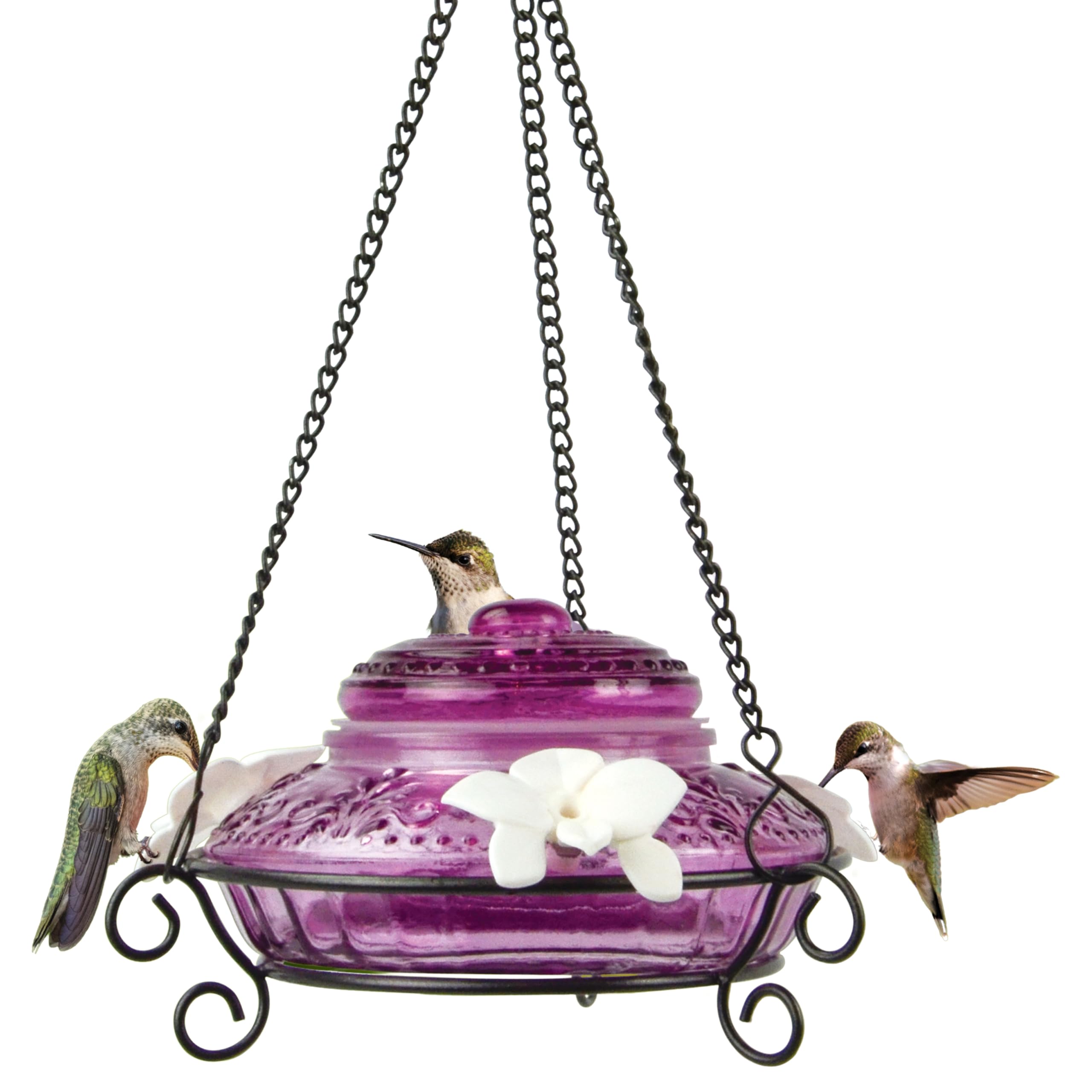 Nature's Way front view showing antique feeder and decorative basket inviting birds