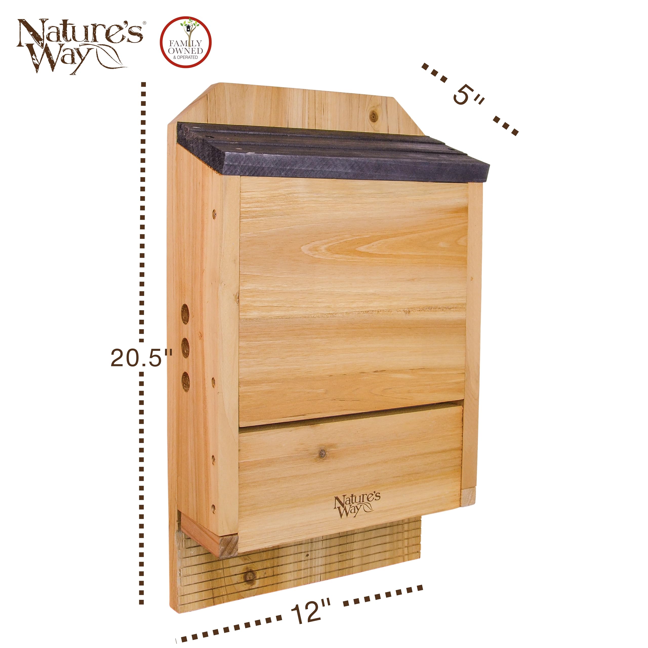 Nature's Way interior chambers shot showing three roosting spaces for colony capacity