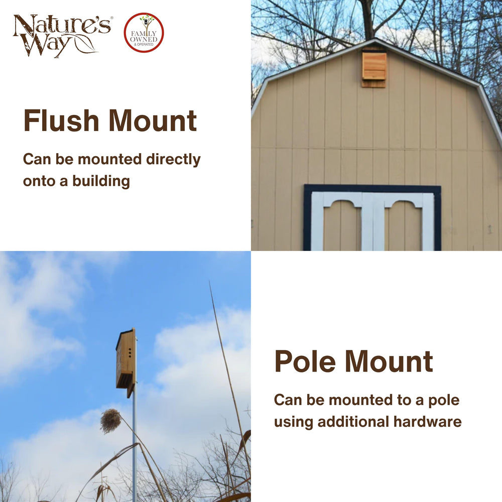 Nature's Way mounted on pole at dusk showing natural pest-control habitat benefit