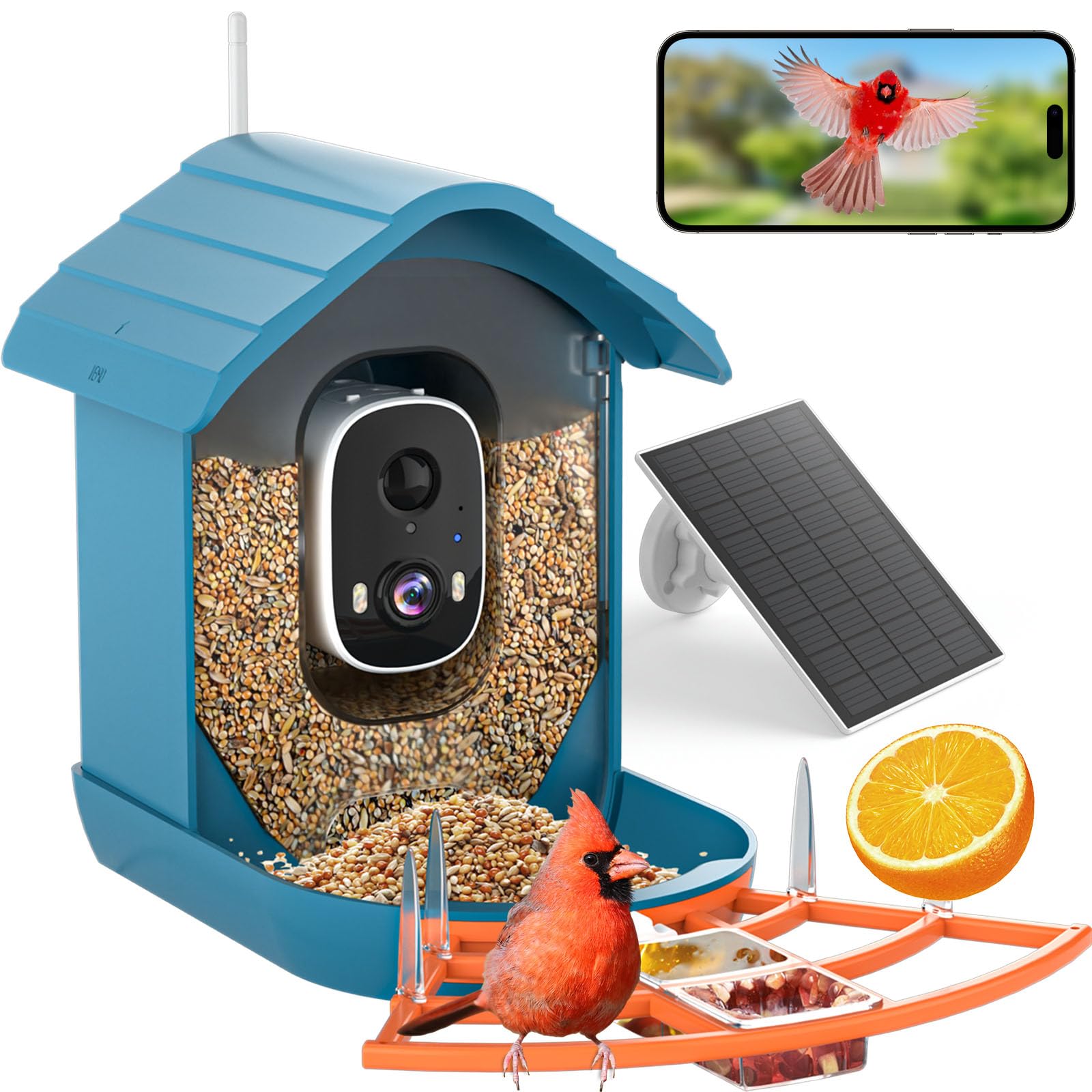 NAVFS front view of bird feeder showing camera and clear feeder for easy bird watching