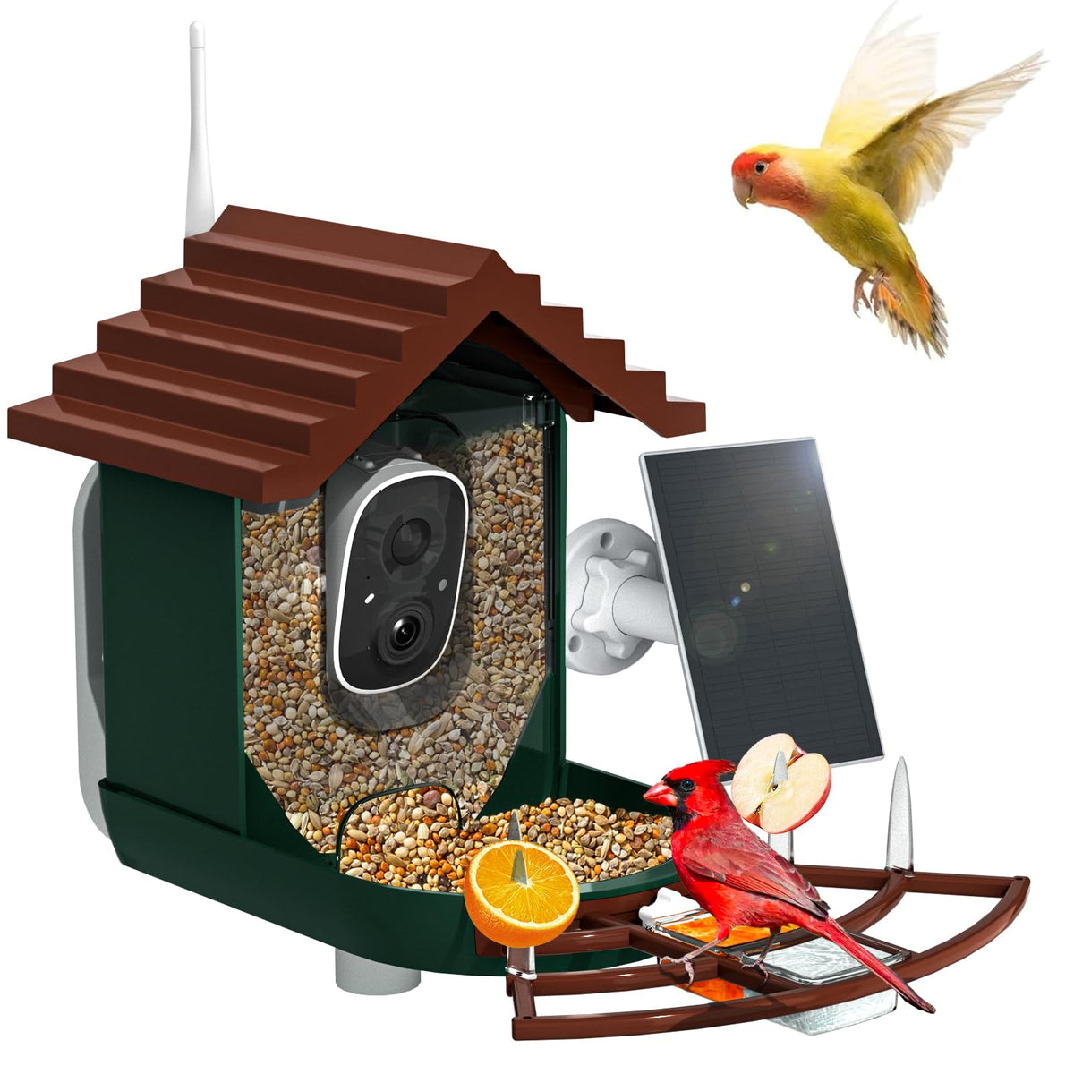NAVFS front view of bird feeder highlighting camera and feeder design benefits