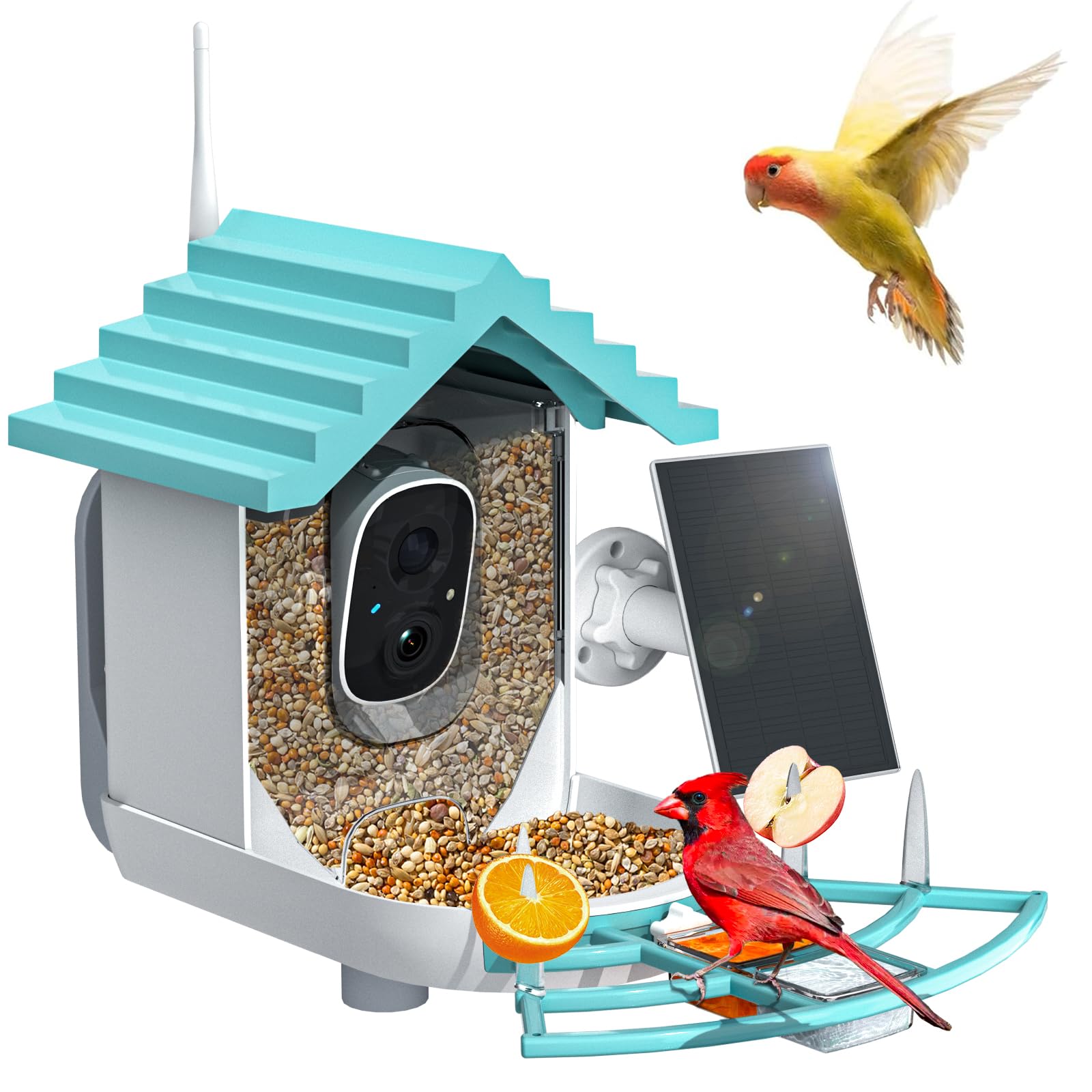 NAVFS front view blue feeder showing camera and feeder opening, promotes easy monitoring