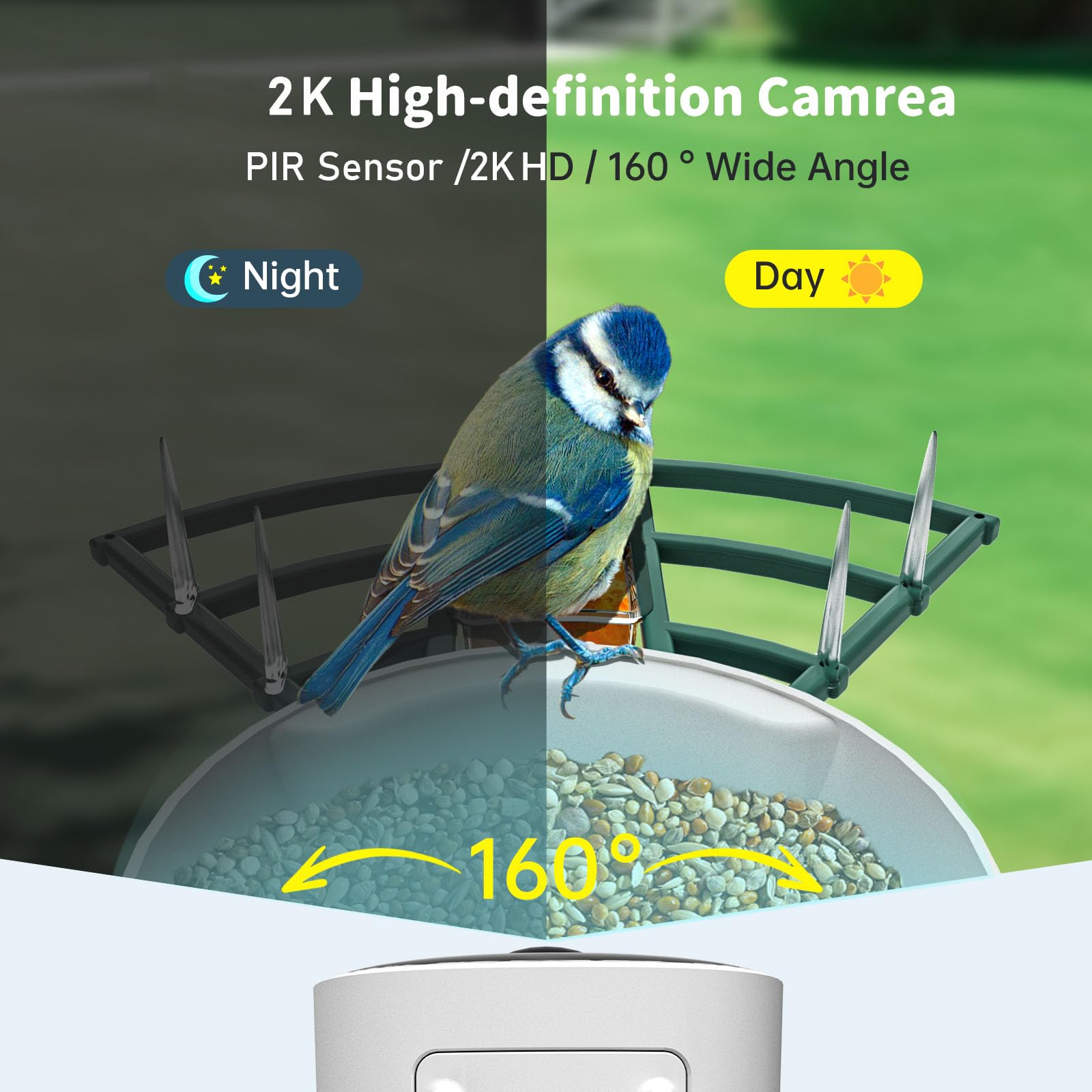 NAVFS in use with a bird landing captured for observation