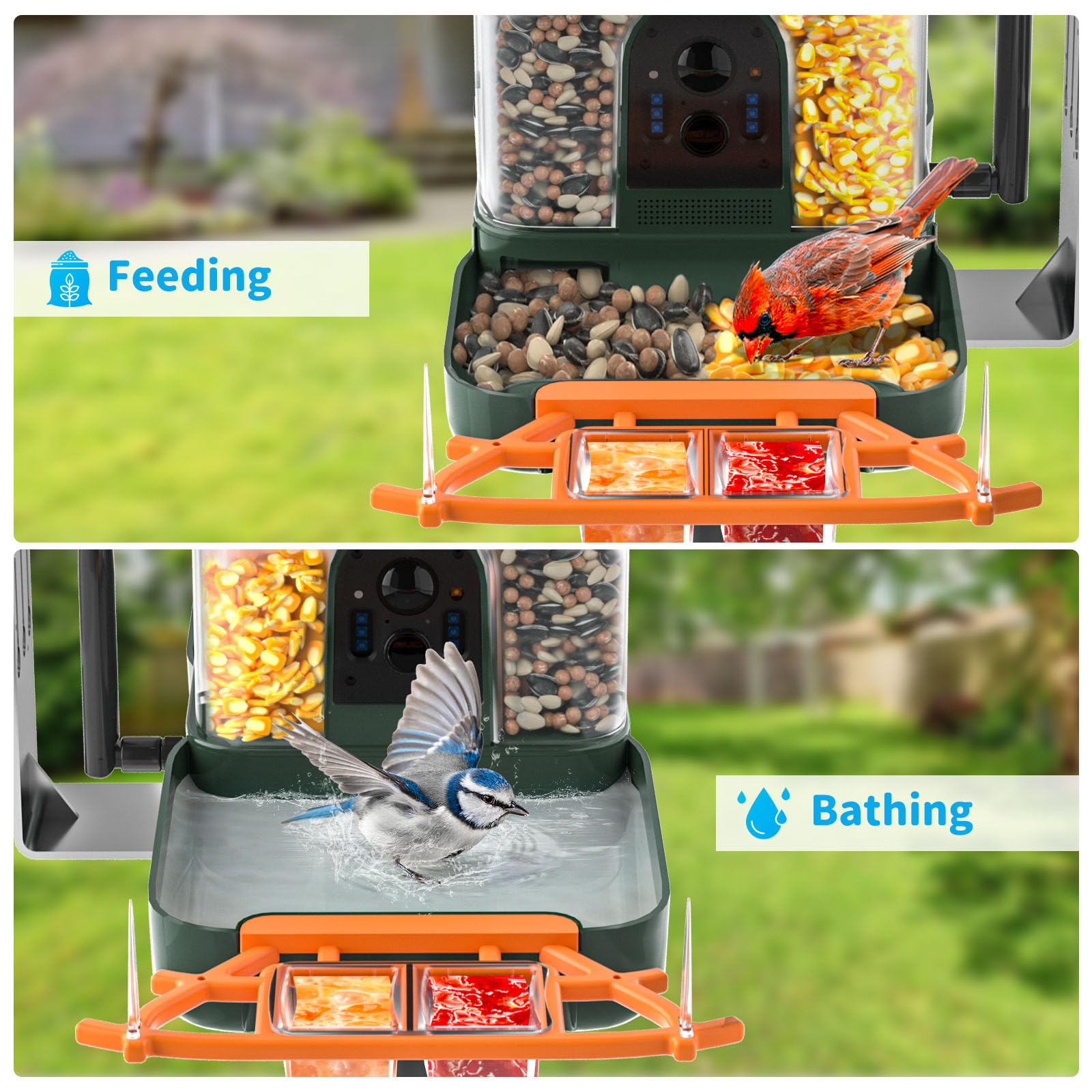 NAVFS mounted on a tree illustrating outdoor placement and durability