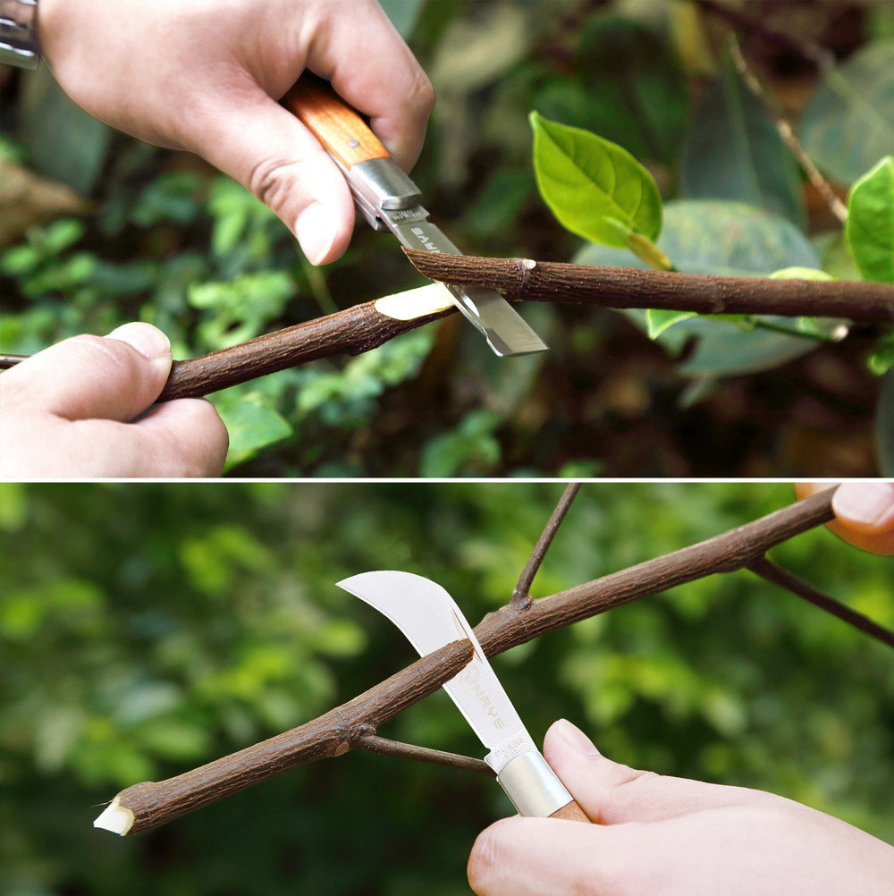 NAYE tool cutting a scion on rootstock demonstrating clean matching cuts benefit