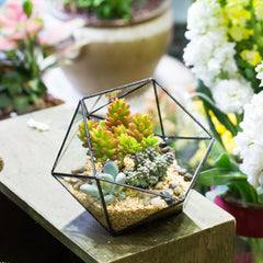 NCYP closeup of glass facets highlighting clarity and decorative sparkle benefits
