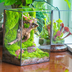 NCYP closeup of glass edges and tin frame highlighting clean finish benefit