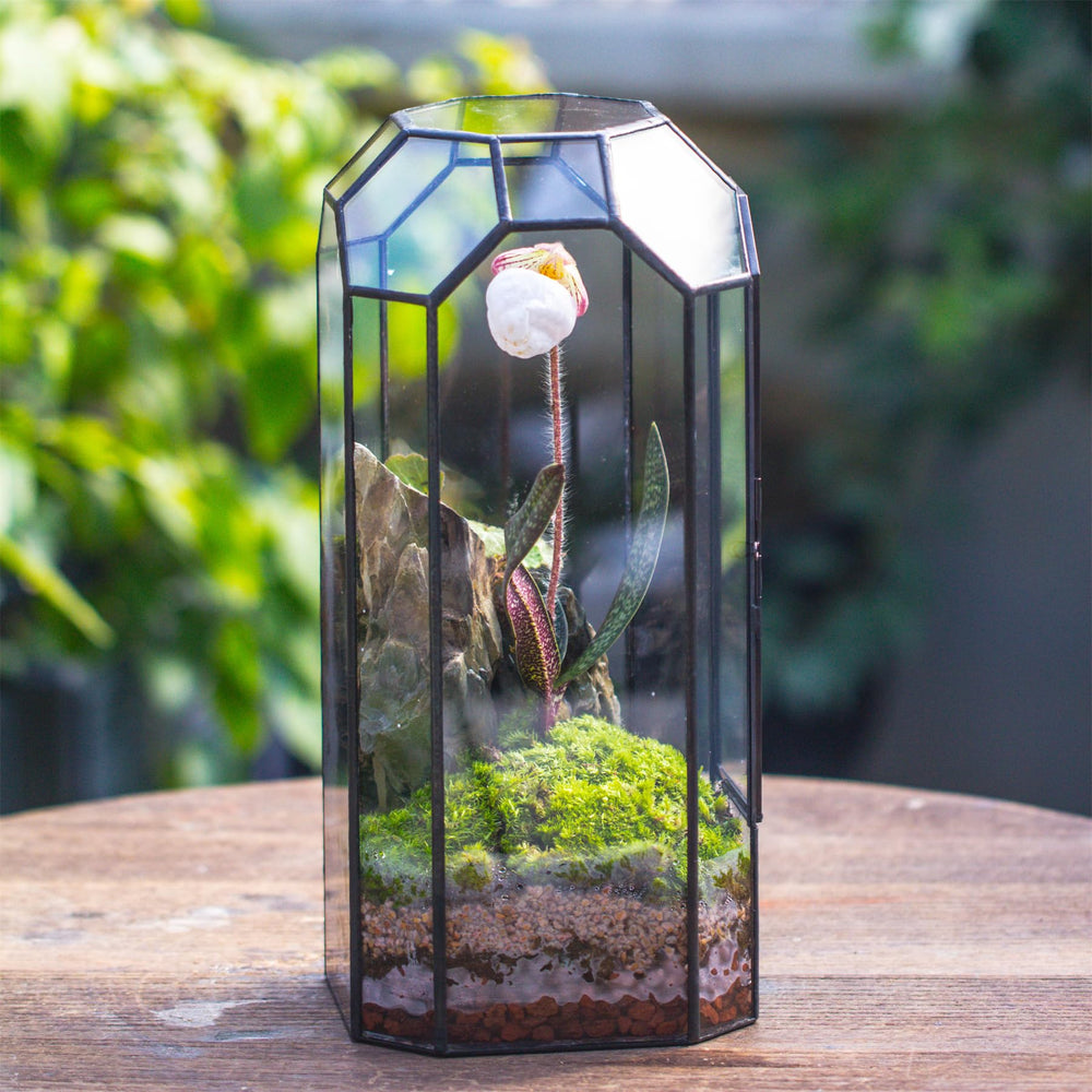 NCYP terrarium with door open demonstrating easy access for planting and maintenance