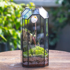 NCYP terrarium with door open demonstrating easy access for planting and maintenance