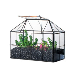 NCYP front view black geometric terrarium showcasing modern display benefits
