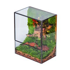 NCYP front view clear terrarium showcasing geometric planter and compact design benefit