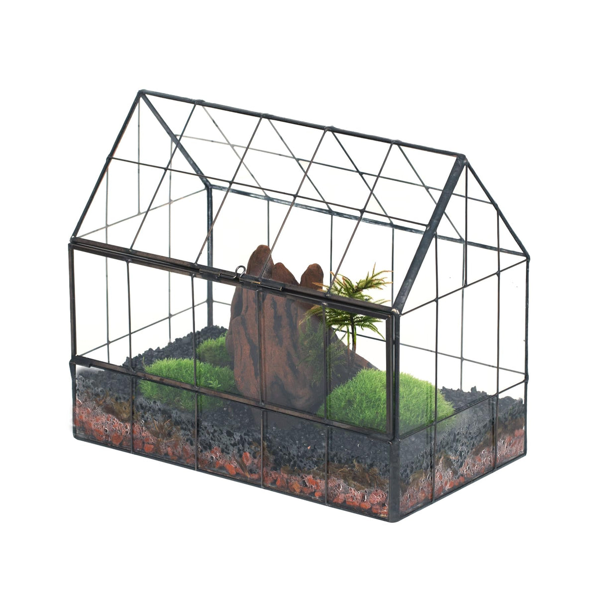 NCYP front view of house-shaped terrarium showing vintage greenhouse style and display benefit