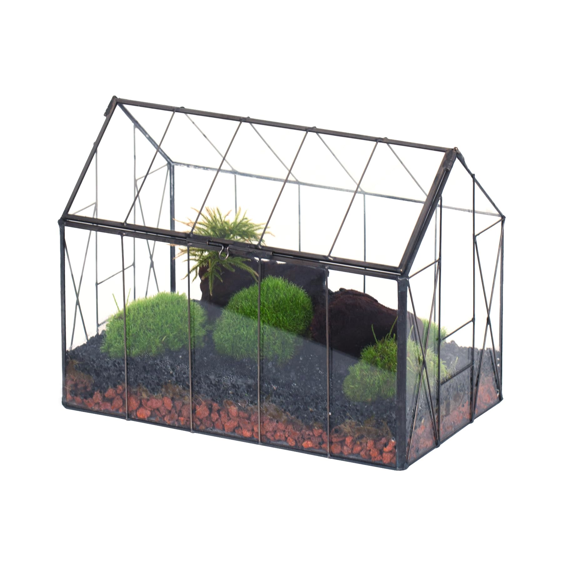 NCYP front view house terrarium showing vintage planter benefit