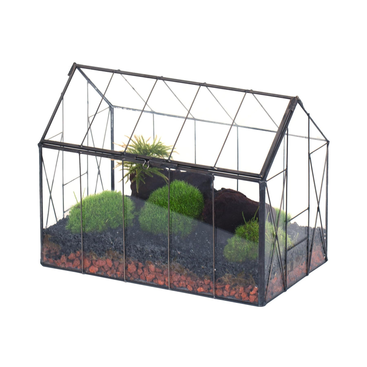 NCYP front view house terrarium showing vintage planter benefit