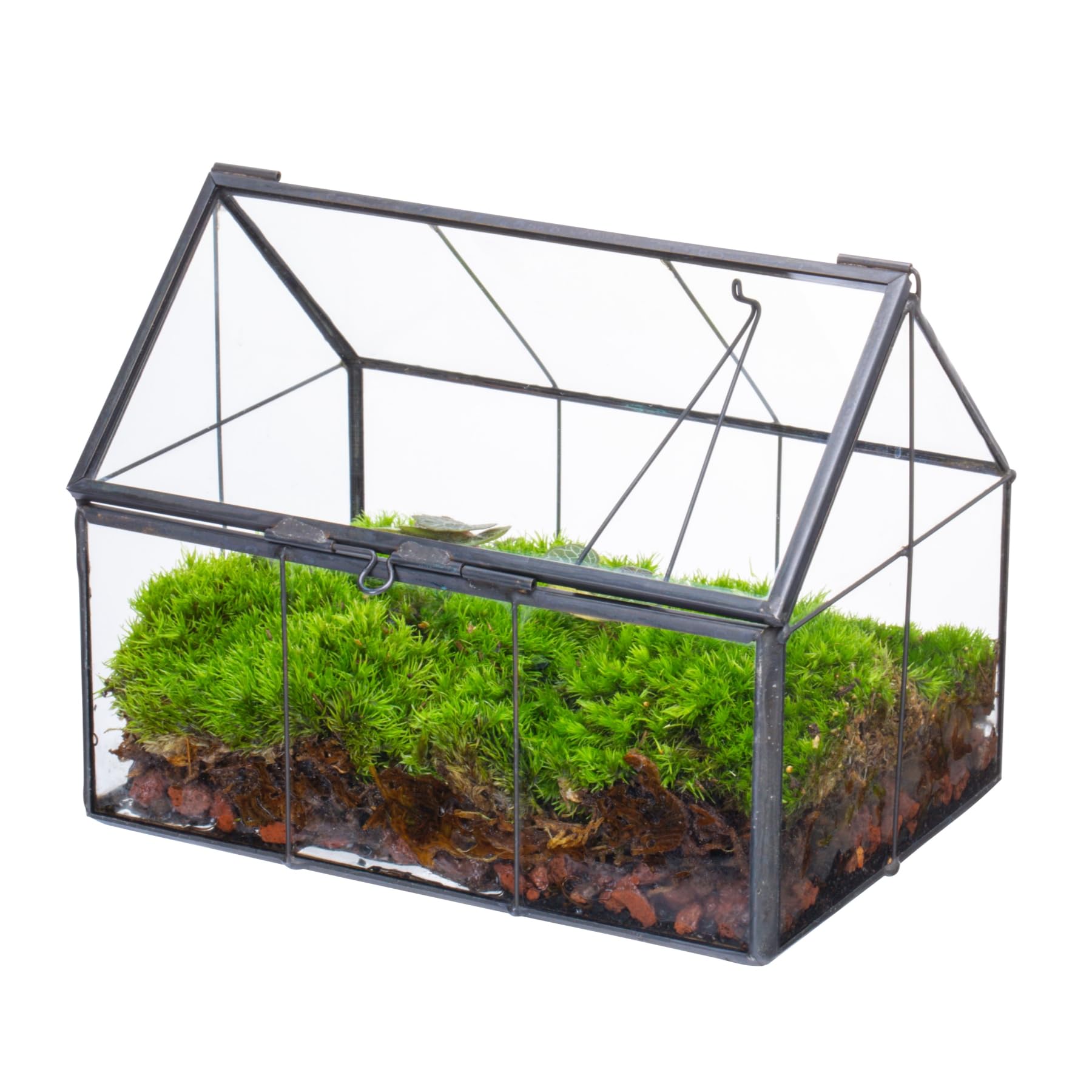 NCYP front view of house-shaped terrarium showing compact modern display benefit