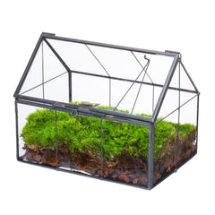 NCYP front view of house-shaped terrarium showing compact modern display benefit