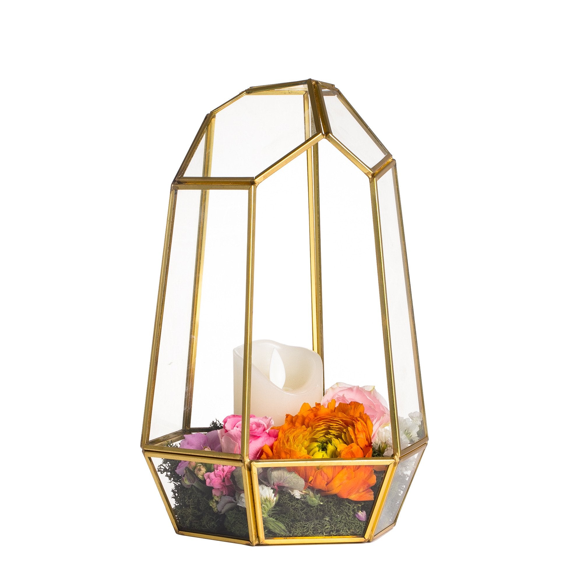 NCYP gold geometric terrarium front view benefits modern display