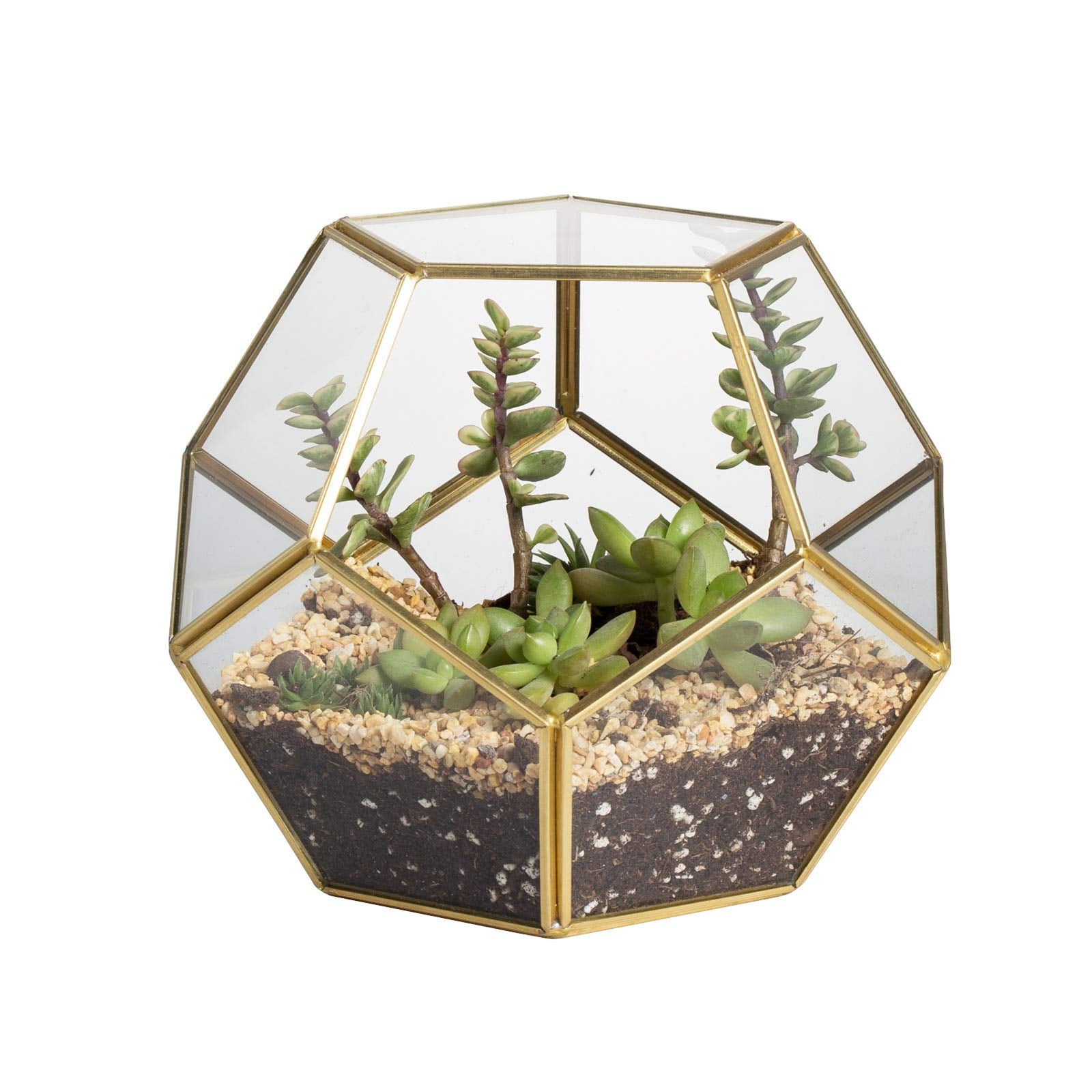 NCYP gold geometric terrarium front view shows modern tabletop appeal