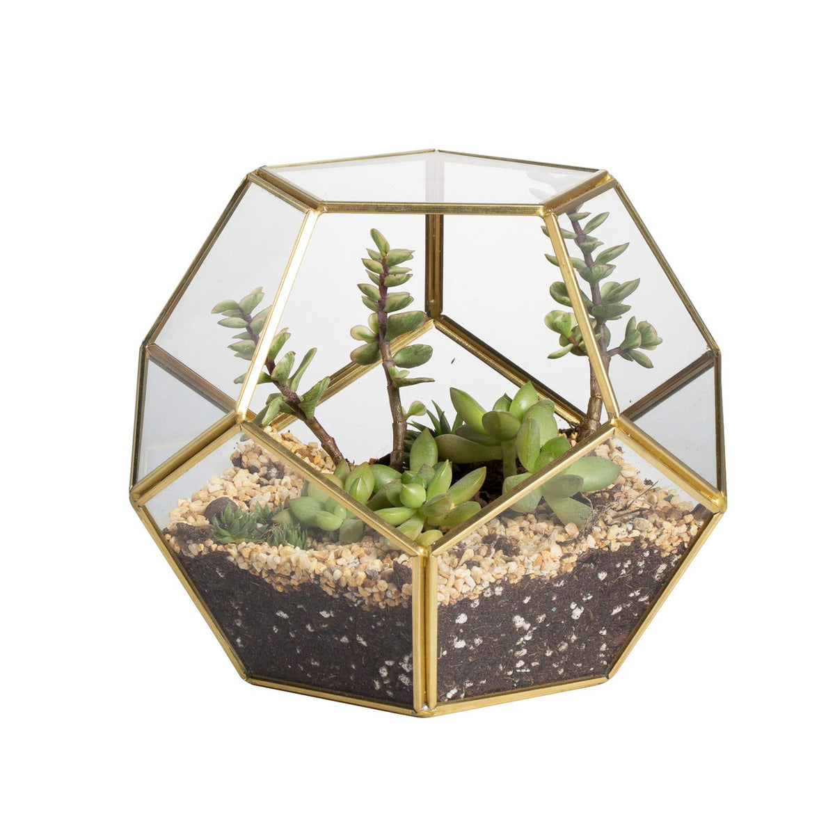 NCYP gold geometric terrarium front view shows modern tabletop appeal