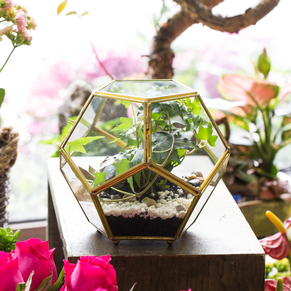 NCYP interior with miniature decor showing planting possibilities and appeal