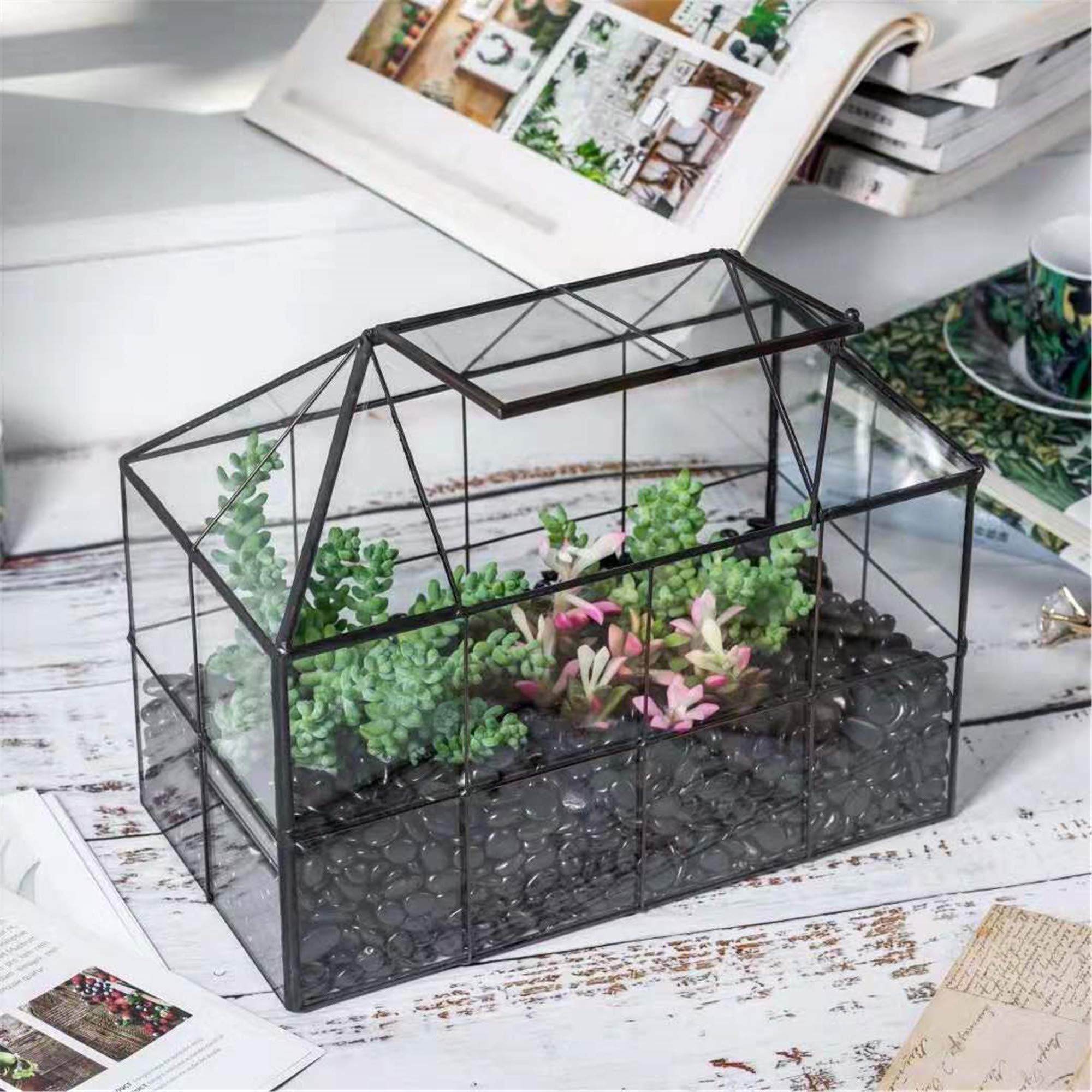 NCYP internal view with small succulent pot demonstrating correct scale