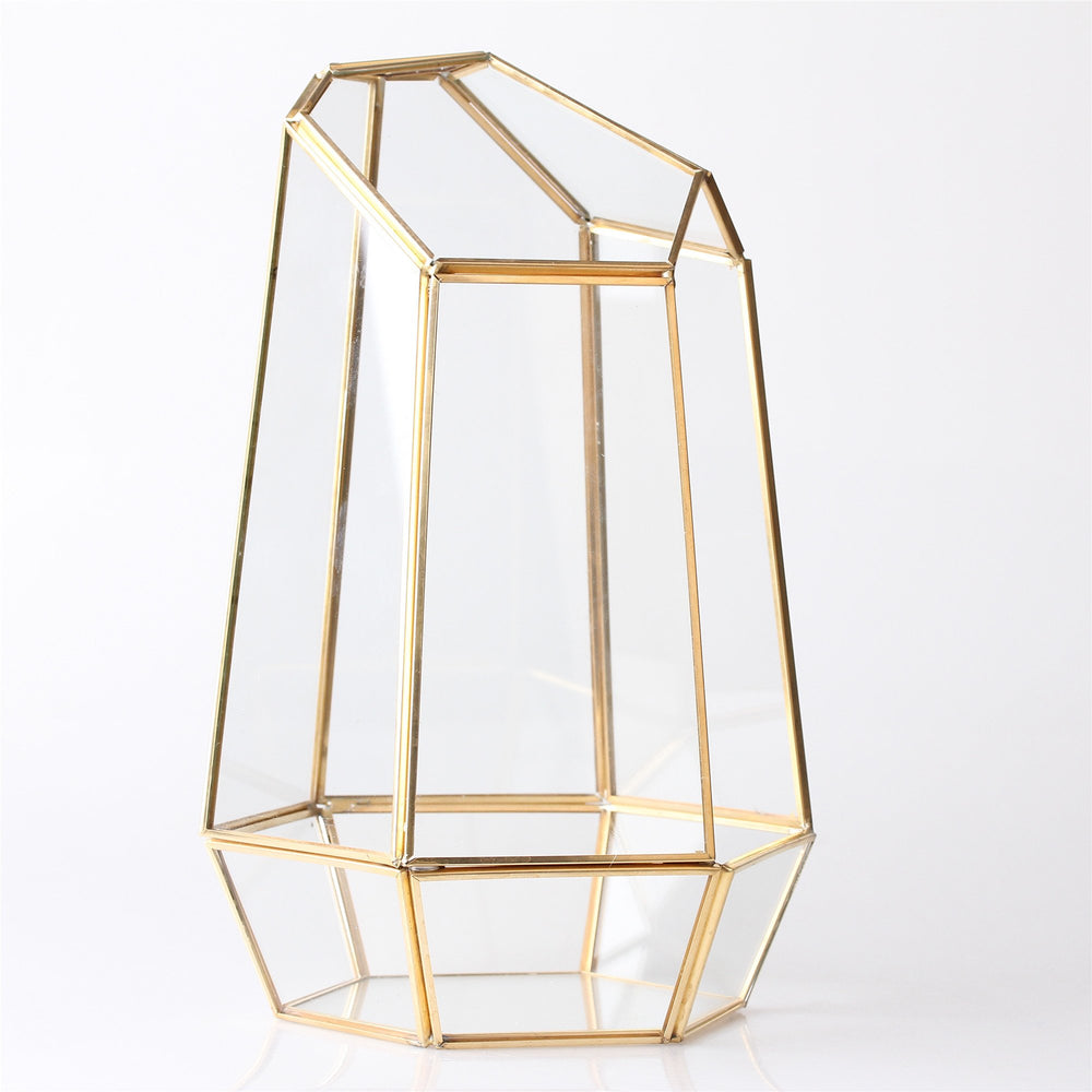 NCYP terrarium on styled shelf enhances room décor and visual appeal