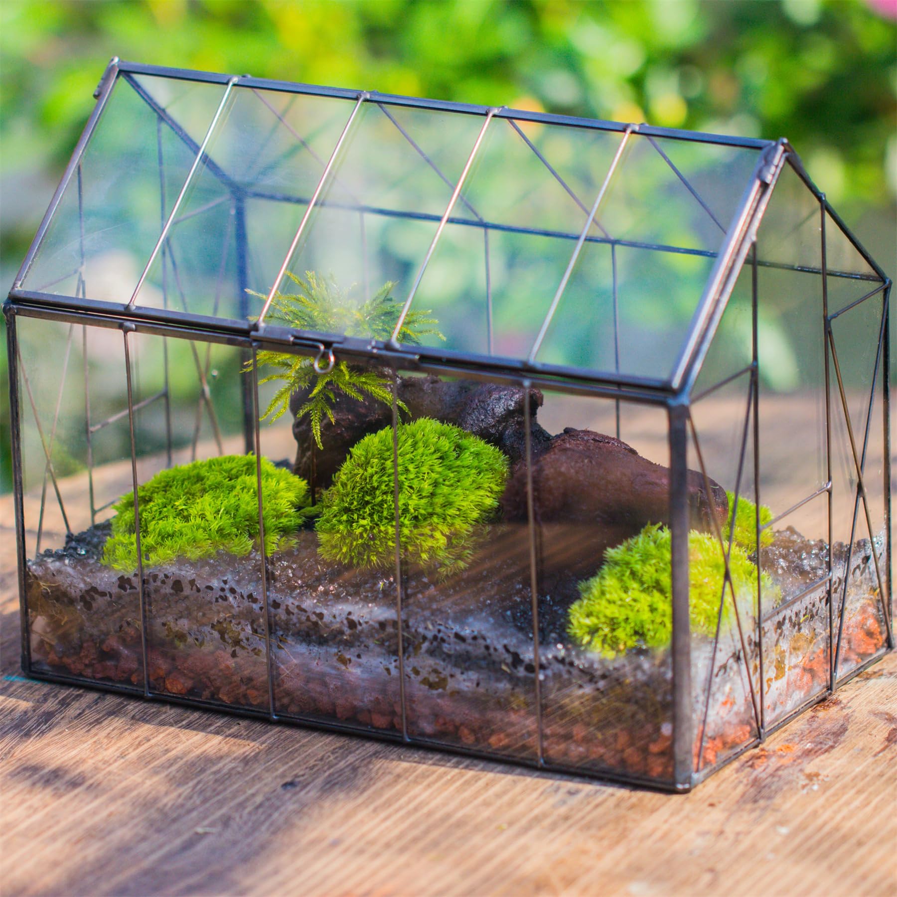 NCYP terrarium styled on shelf adding greenery and decor benefit
