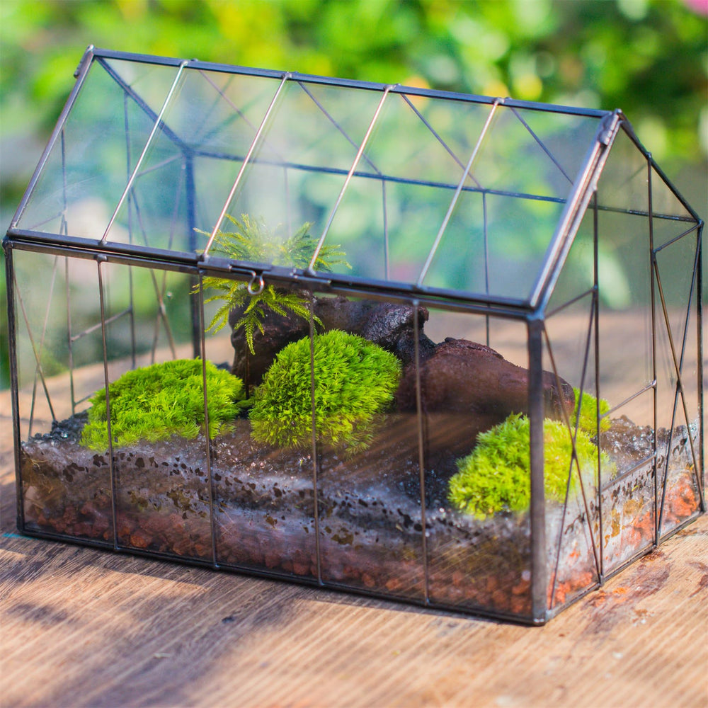 NCYP terrarium styled on shelf adding greenery and decor benefit