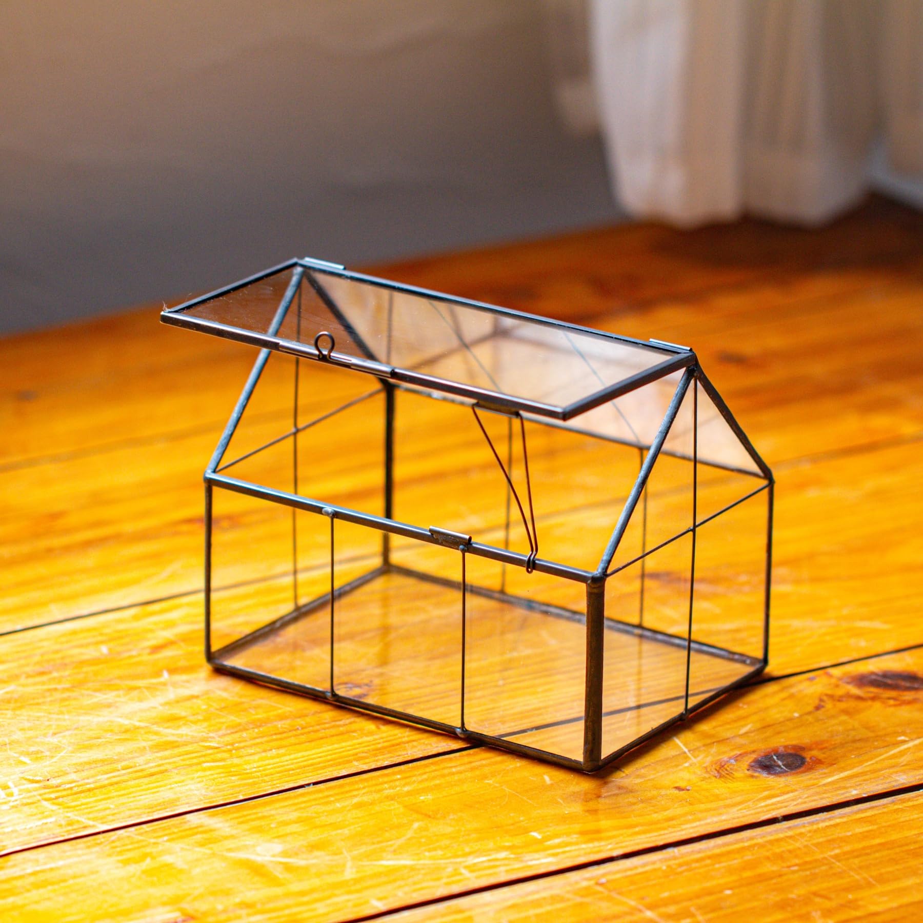 NCYP terrarium styled on a shelf showing decorative home or office benefit