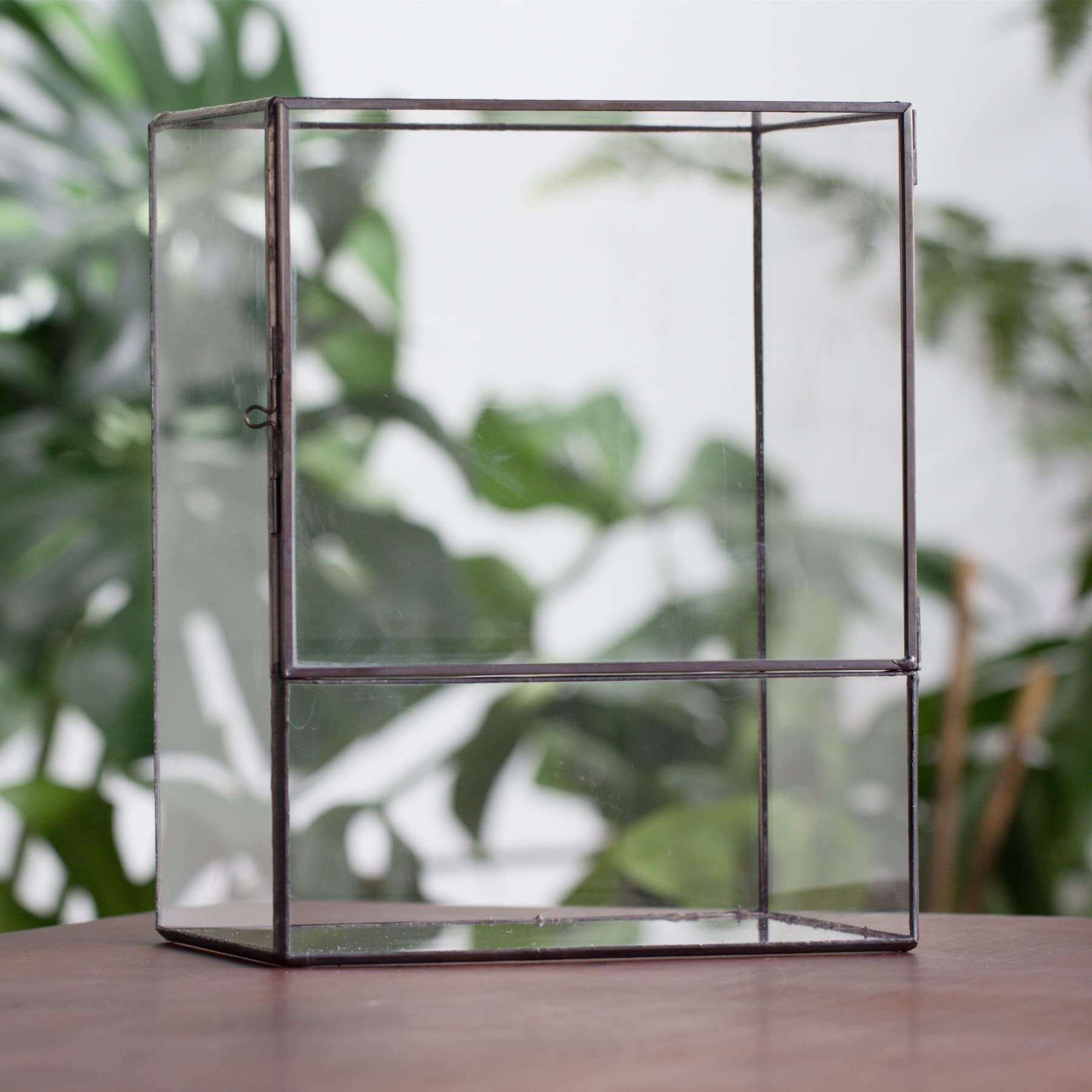 NCYP terrarium styled as a centerpiece on table demonstrating decorative benefit