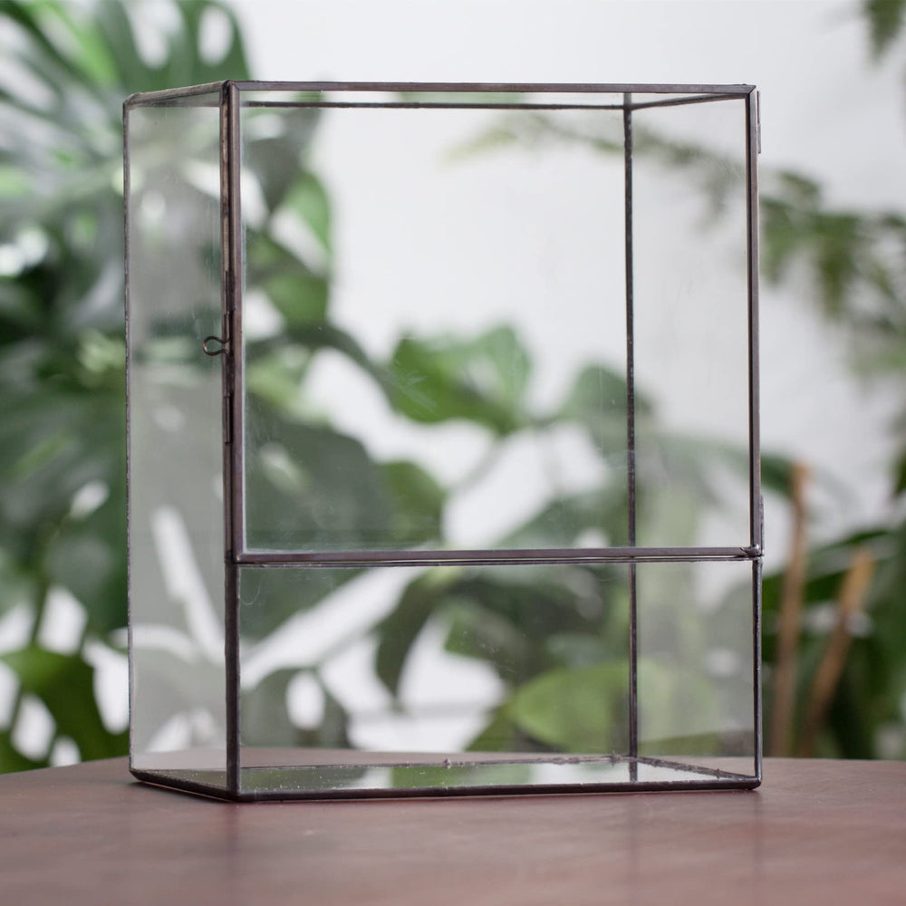 NCYP terrarium styled as a centerpiece on table demonstrating decorative benefit
