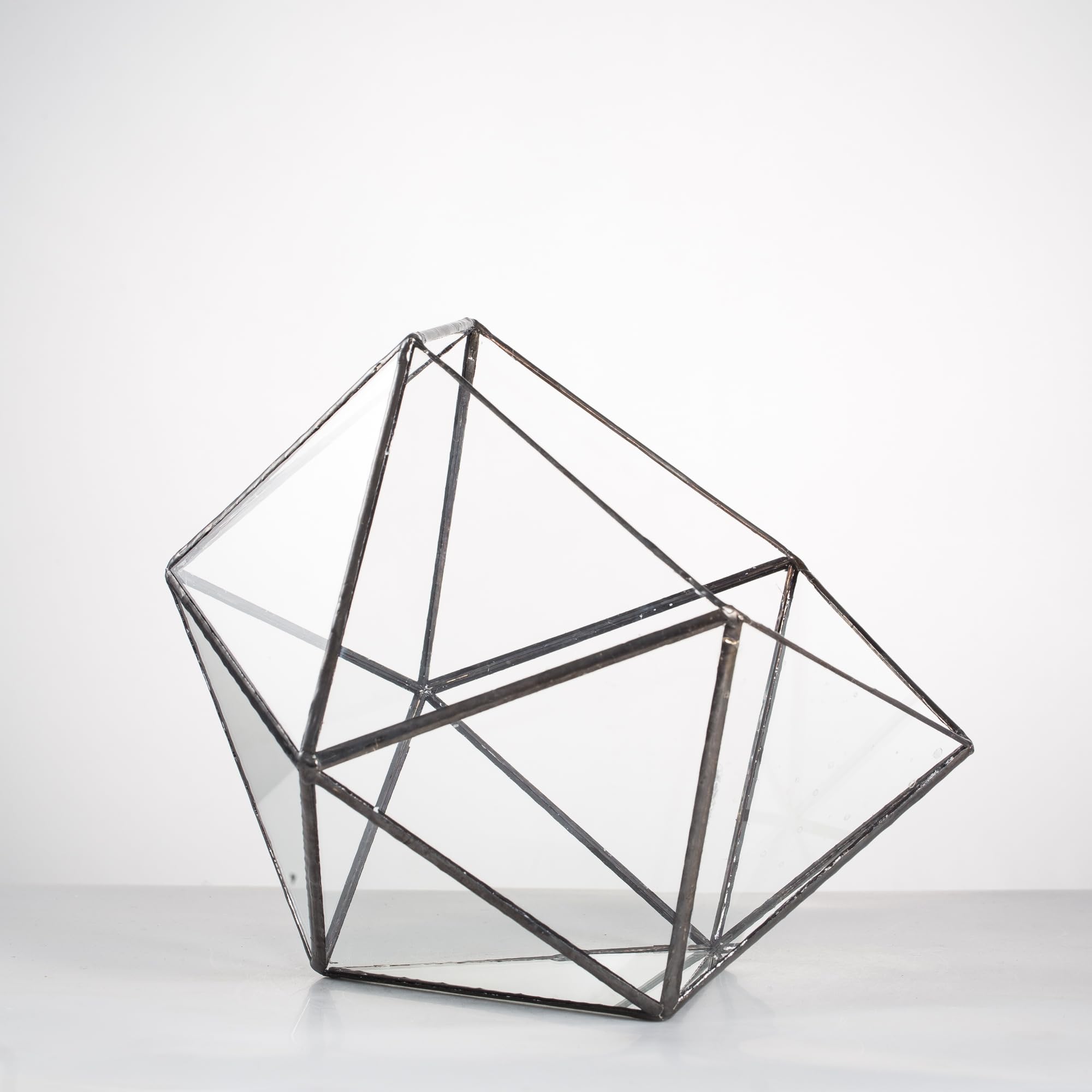 NCYP terrarium on living room table creating elegant centerpiece benefits